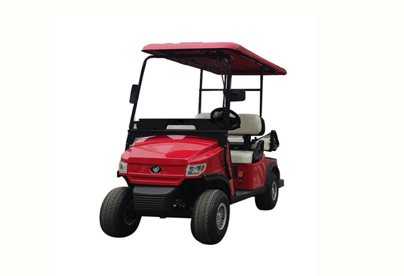 CE approved electric golf buggy for company tourist