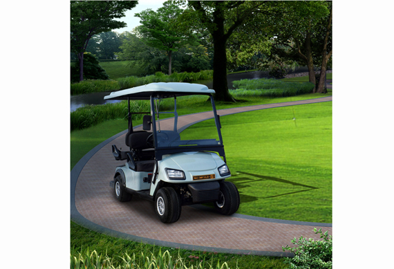 2 seat battery powered electric golf cart with CE approved