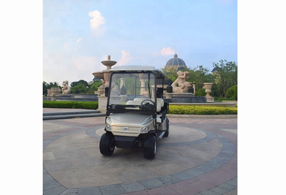 Manufacturer 6 Seater Electric Golf Cart Engine Golf Cart For Sale Philippines