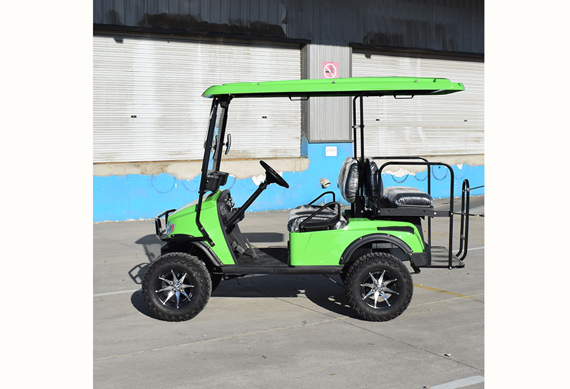 Customized hunting electric golf cart