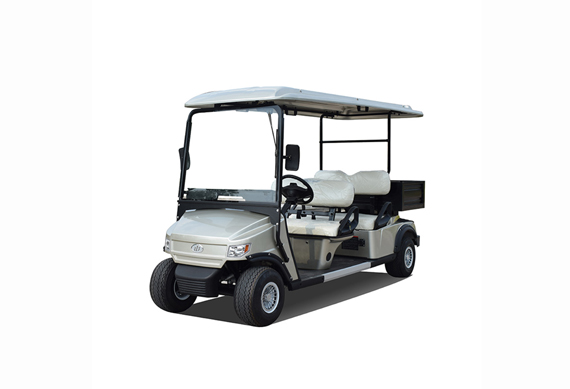 China Factory 4 seater mp3 radio electric golf cart with cargo box