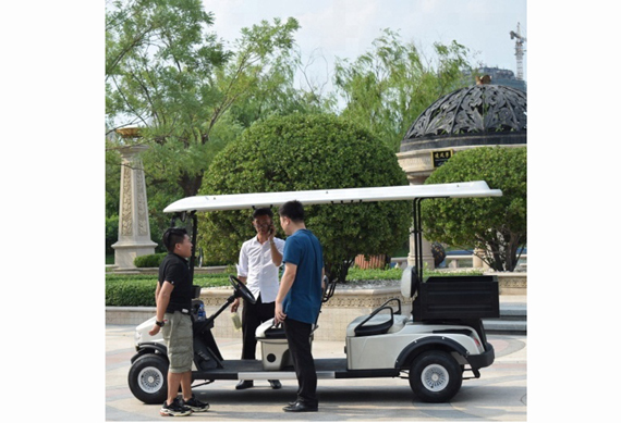 4 people golf cart cargo box double seat