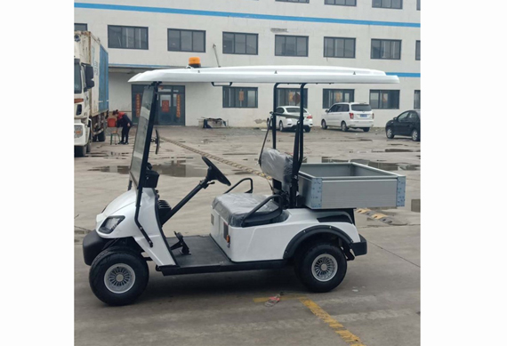 4 seater Electric golf cart with power assist lift cargo box Support customization