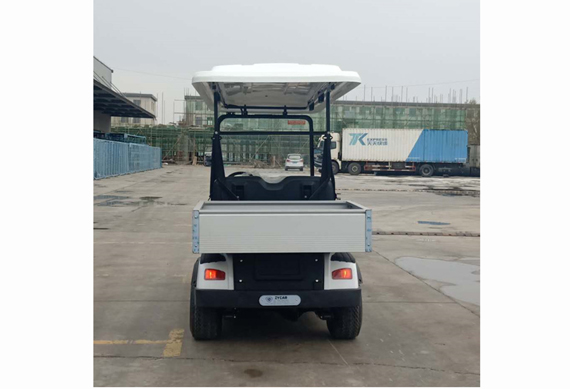 2 4 6 8 seat electric golf cart with cargo box for wholesales