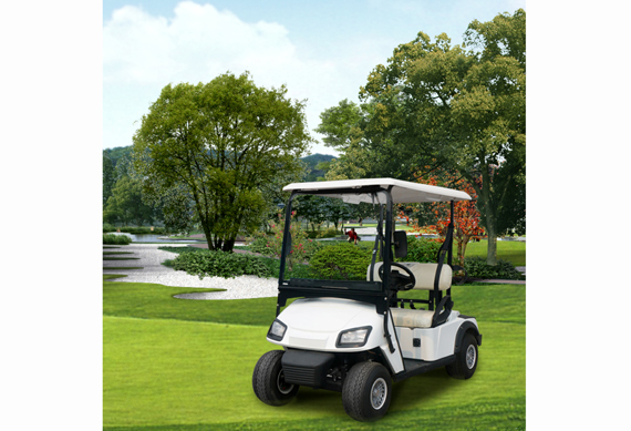 Cheap 2 4 6 8 Seaters Electric golf cart with great price