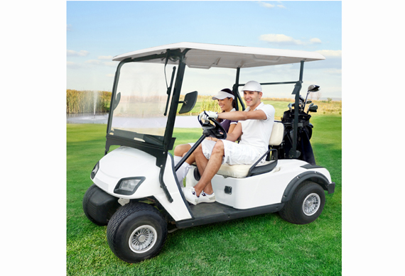 Cheap 2 4 6 8 Seaters Electric golf cart with great price
