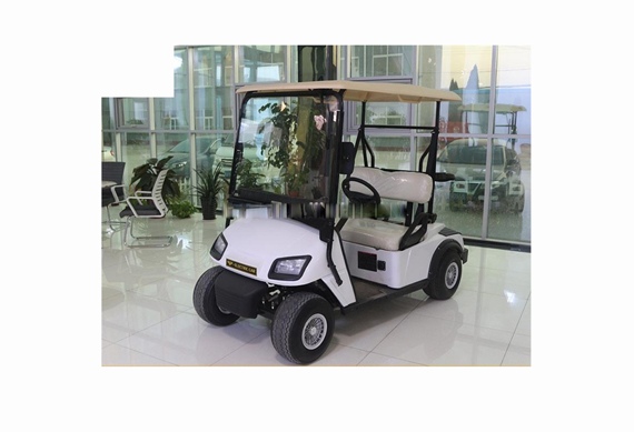 Zhongyi Brand Utility Electric golf cart for tourist