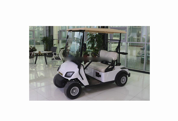 Zhongyi Brand Utility Electric golf cart for tourist