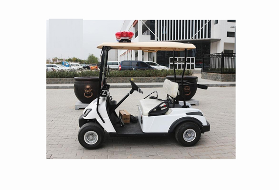 Zhongyi Brand Utility Electric golf cart for tourist