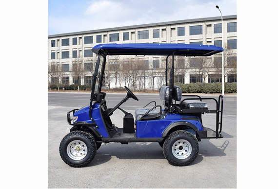 classic mini electric golf buggy for tourist use