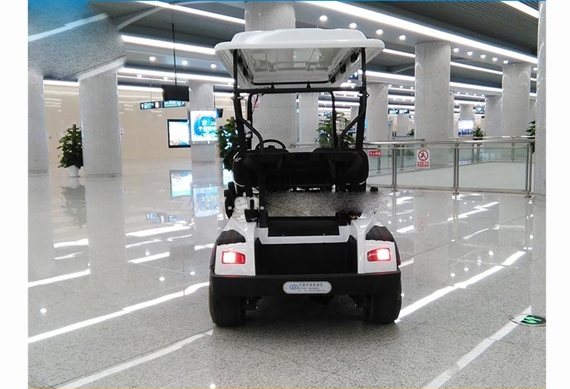 6-seater electric golf cart factory price