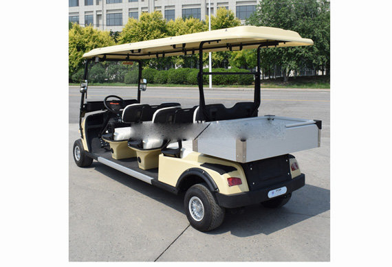 6 person golf carts made in China