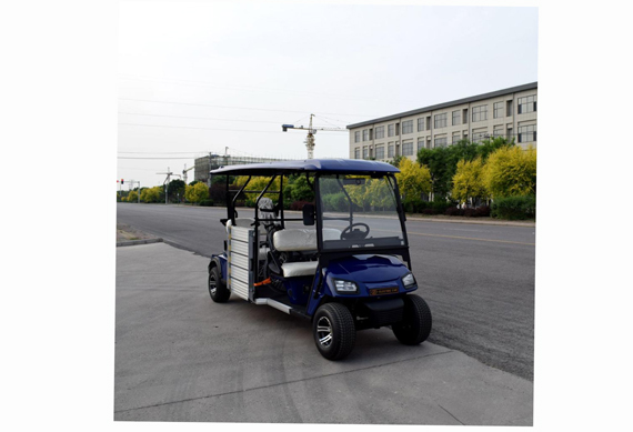 Electric Wheelchair Buggy for Disable Person