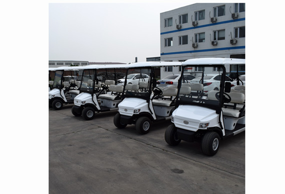 China supplier 6 seater electric golf buggy car hotel car