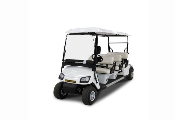 cheap two seater electric cars for golf