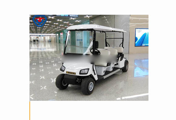 cheap two seater electric cars for golf