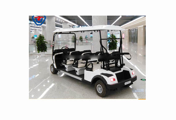 cheap two seater electric cars for golf