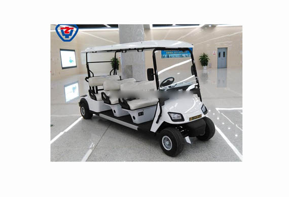 cheap two seater electric cars for golf