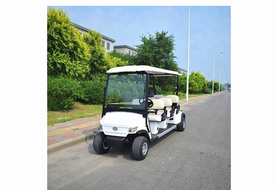 China brand new mini golf buggy electric with CE certificate