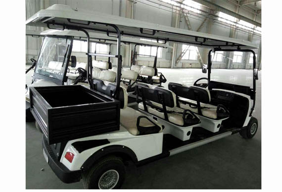 China brand new mini golf buggy electric with CE certificate