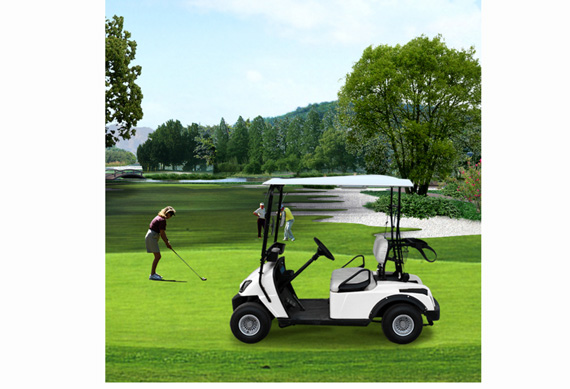 Professional 2 seat golf cart for sale