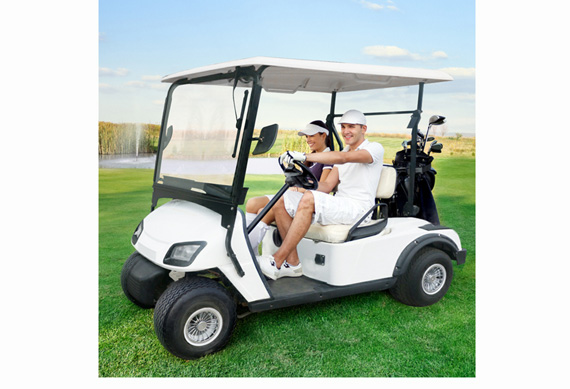 Professional 2 seat golf cart for sale