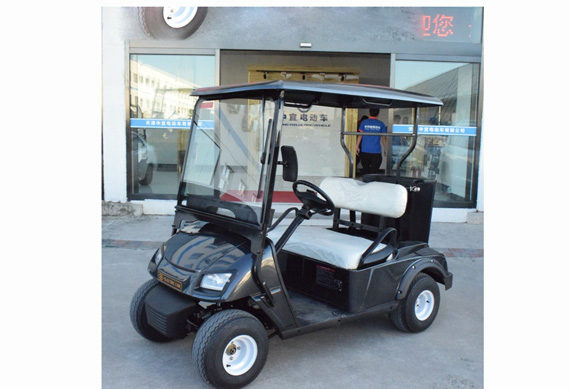 Professional 2 seat golf cart for sale