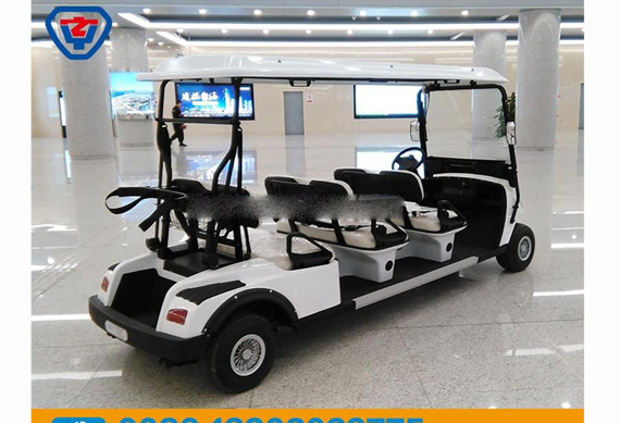 6 seater golf cart for sale custom golf cart with high quality