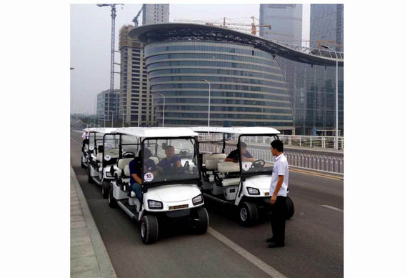 new cheap 8 seater golf cart with high quality