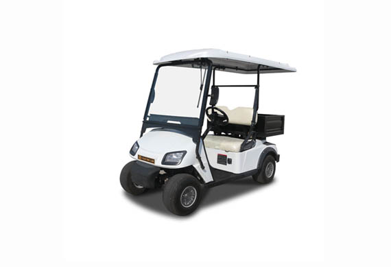 Mini 2 Seater electric Classic Golf Cart & car With Cargo Box