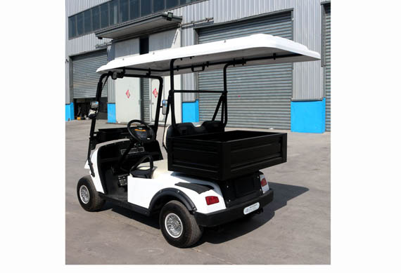 Mini 2 Seater electric Classic Golf Cart & car With Cargo Box