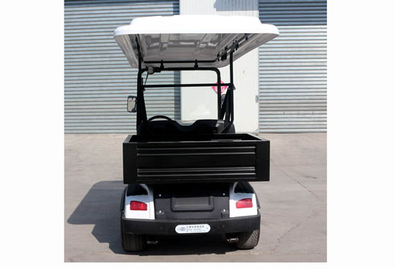 Mini 2 Seater electric Classic Golf Cart & car With Cargo Box