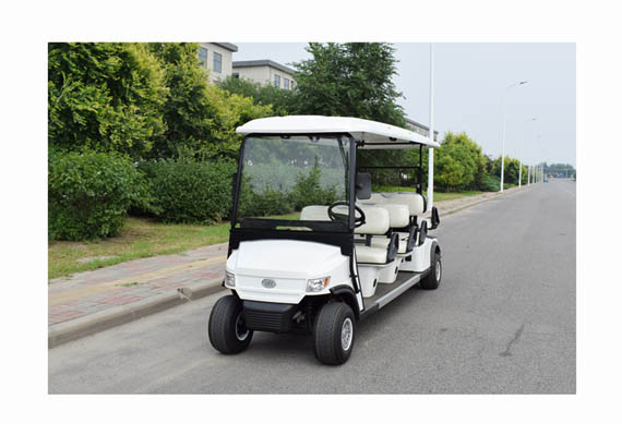 ZYCAR brand Ce certified electric golf cart with 2 4 6 8 seats