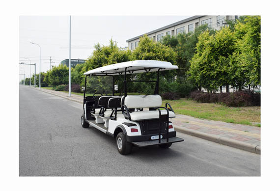 ZYCAR brand Ce certified electric golf cart with 2 4 6 8 seats