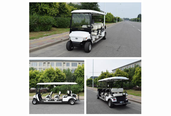 ZYCAR brand Ce certified electric golf cart with 2 4 6 8 seats