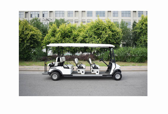 ZYCAR brand Ce certified electric golf cart with 2 4 6 8 seats