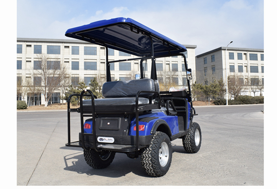 Electric Multifunctional golf buggy made in China