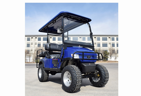 Electric Multifunctional golf buggy made in China