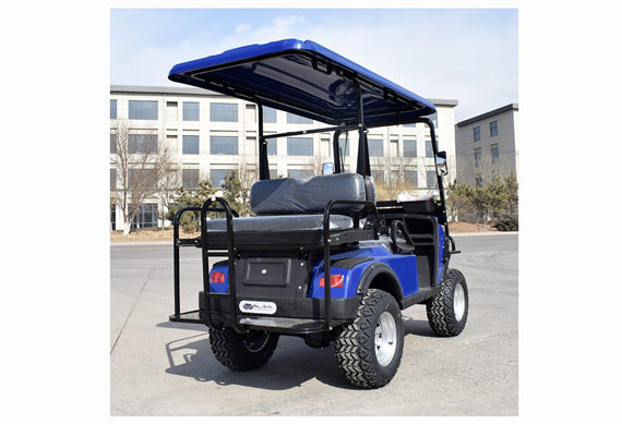 Electric Multifunctional golf buggy made in China