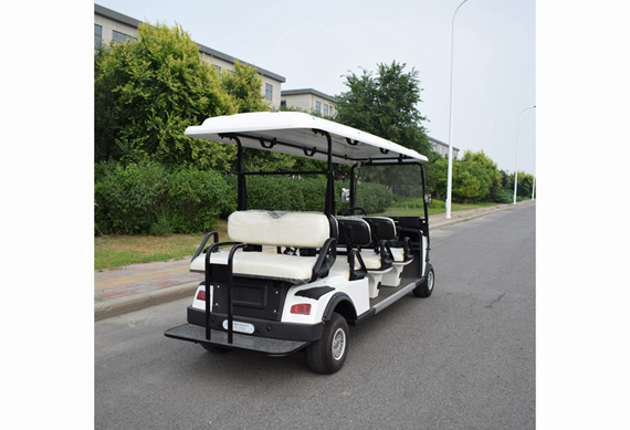 Chinese Factory Electric Golf Cart for CE