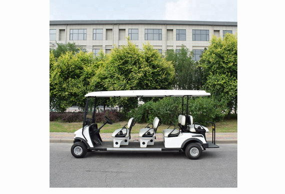 ZYCAR Brand electric golf cart for wholesales