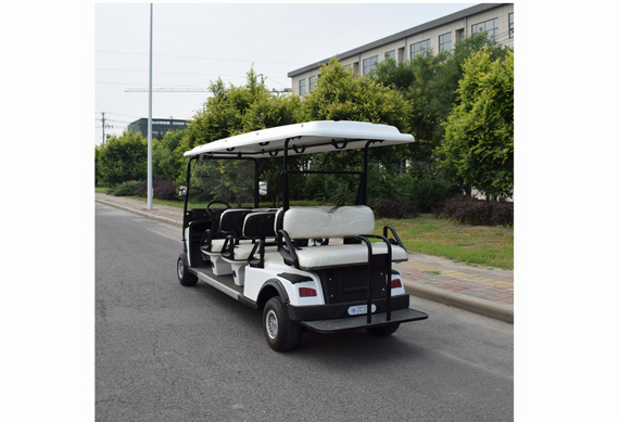 ZYCAR Brand electric golf cart for wholesales