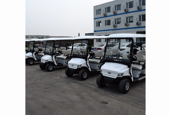 ZYCAR Brand electric golf cart for wholesales