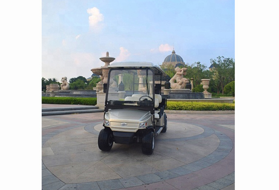 ZYCAR Brand electric golf cart for wholesales