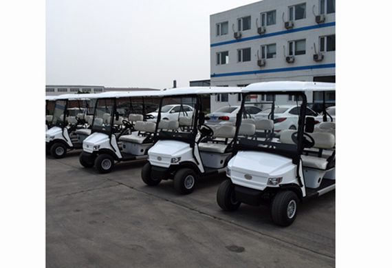 Manufacturer golf cart electric 6 8 seater for sale