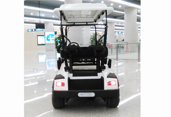 Made in China High quality electric golf carts with cheap price