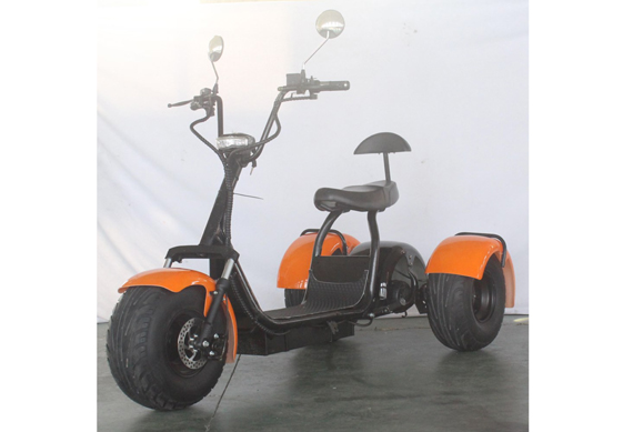 Beautiful 3 wheel electric citycoco scooter motorcycle with fat tire