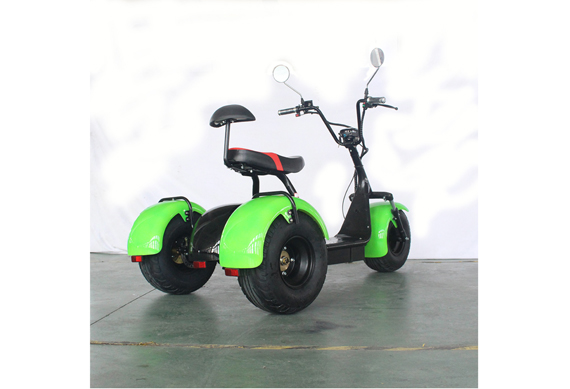 Three Wheels Electric Citycoco 1500 w Scooter Europe