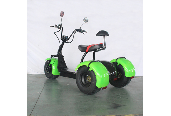 Three Wheels Electric Citycoco 1500 w Scooter Europe