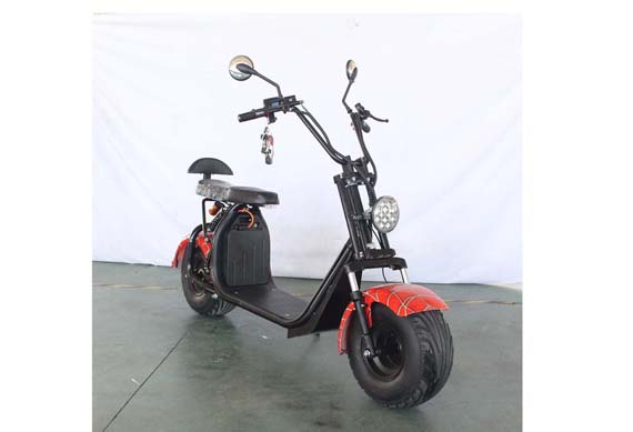 Citycoco 2 Wheel 1500W Electric Scooter For Europe